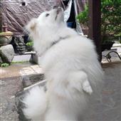 Re