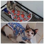 Kè